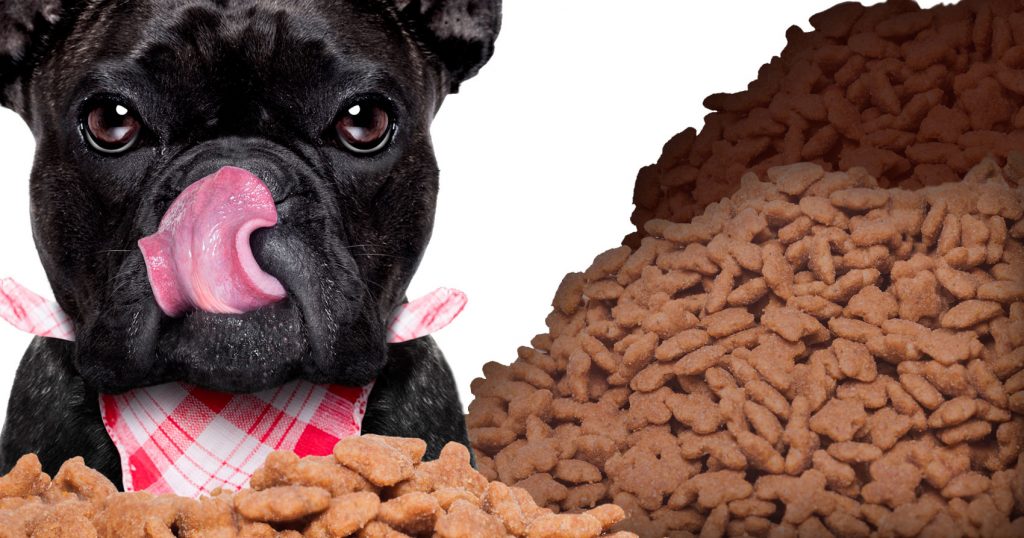 mejores alimentos para perros en argentina 